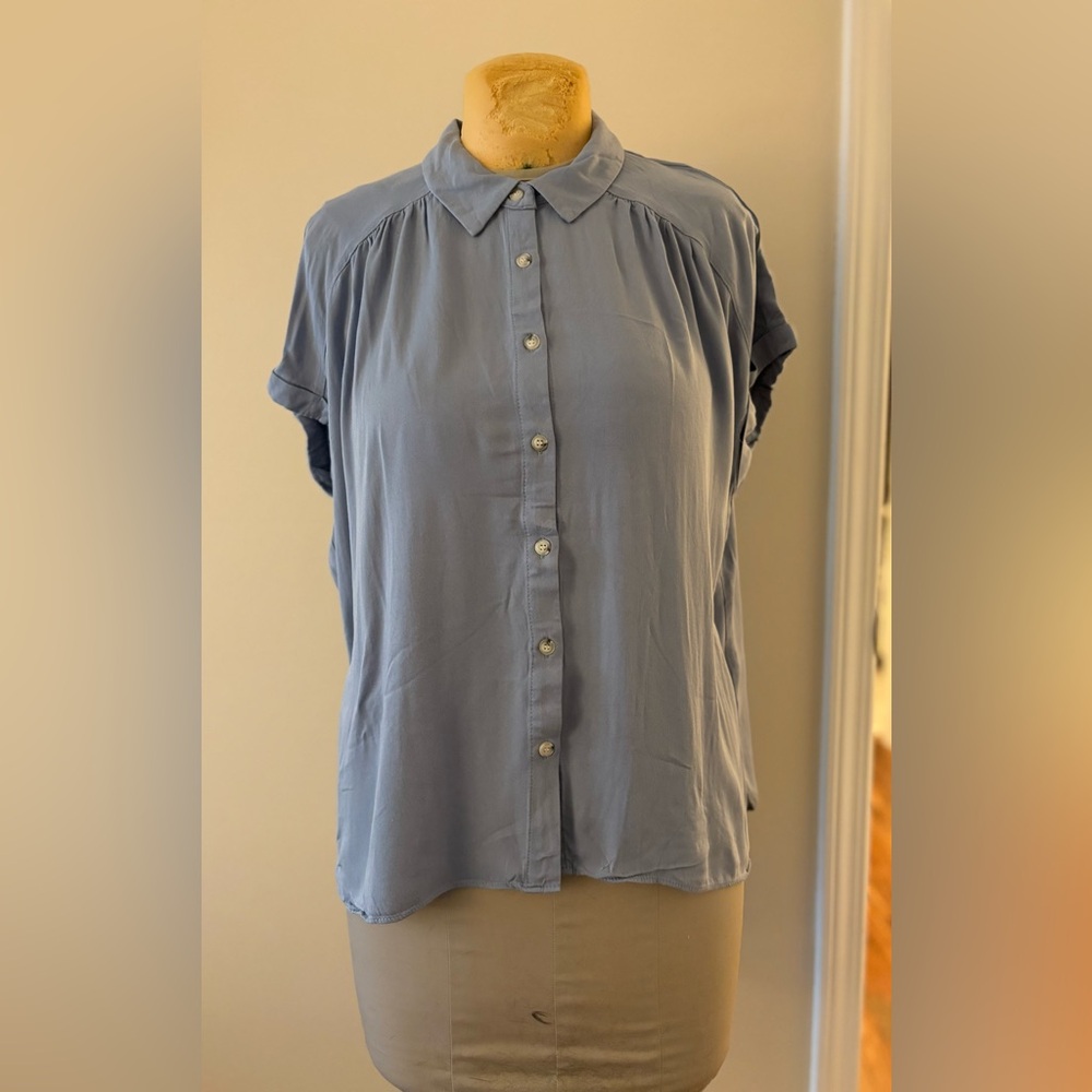 Rose & Olive Light Blue Button-Down Shirt